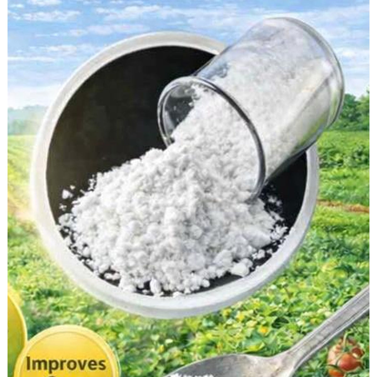 Unique Sale Corporation Boron 20% water soluble micronutrient powder
